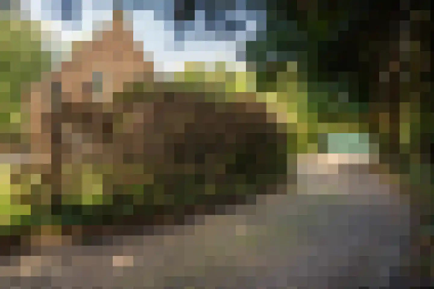 Romeinstraat 1 Deurne thumbnail 43