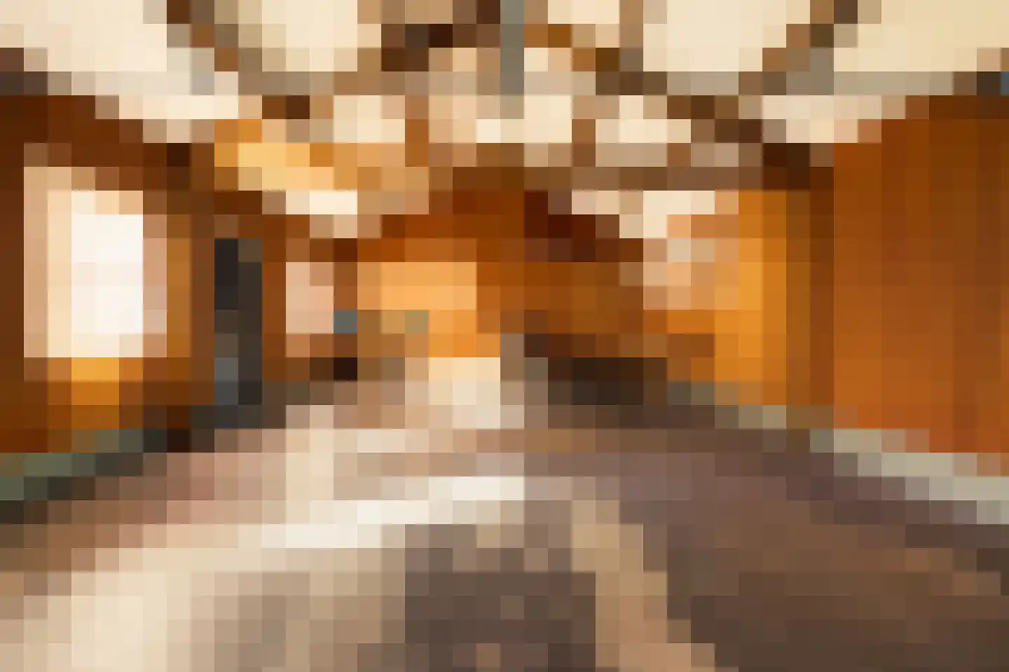 Romeinstraat 1 Deurne thumbnail 47