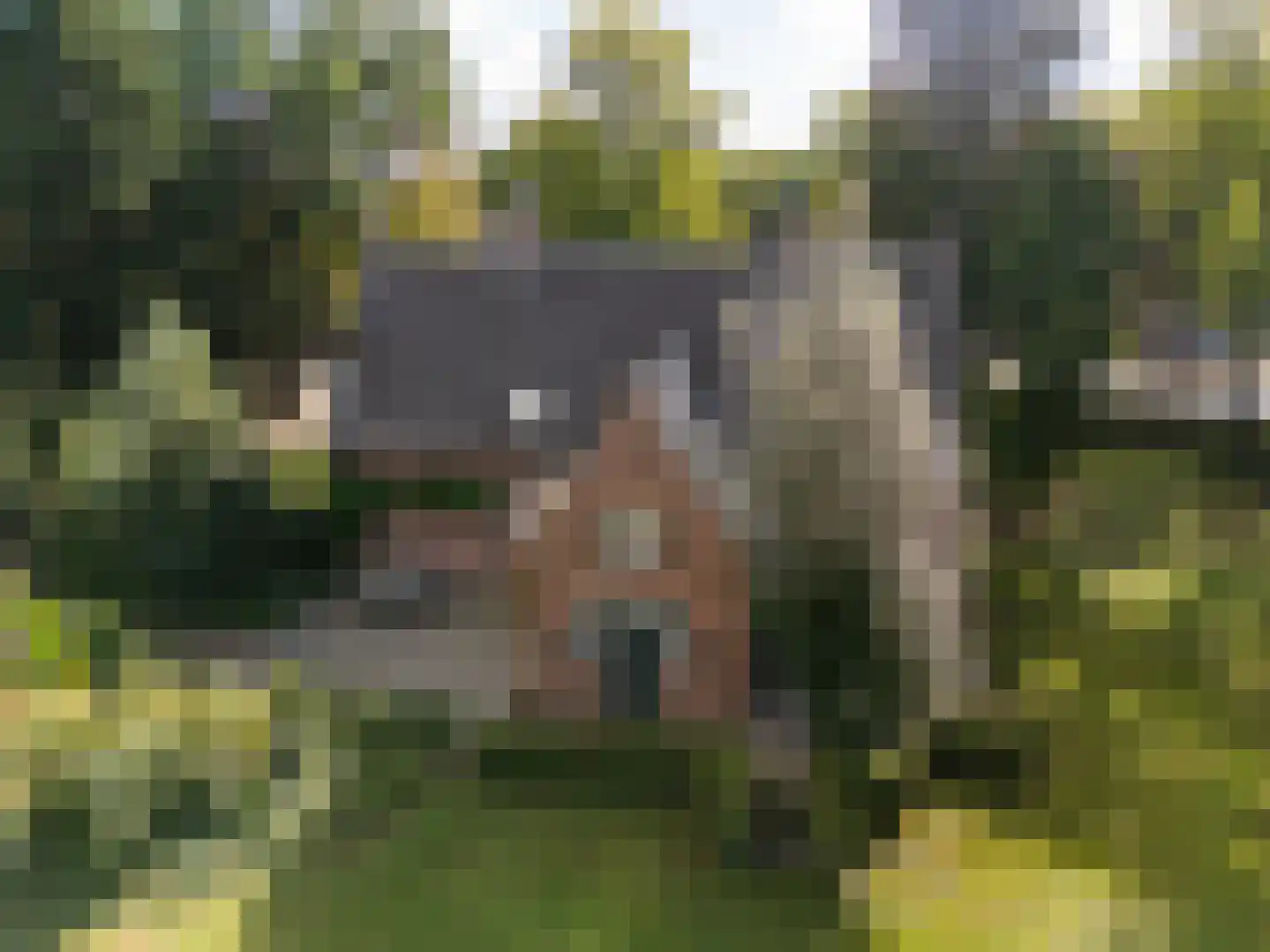 Romeinstraat 1 Deurne thumbnail 48