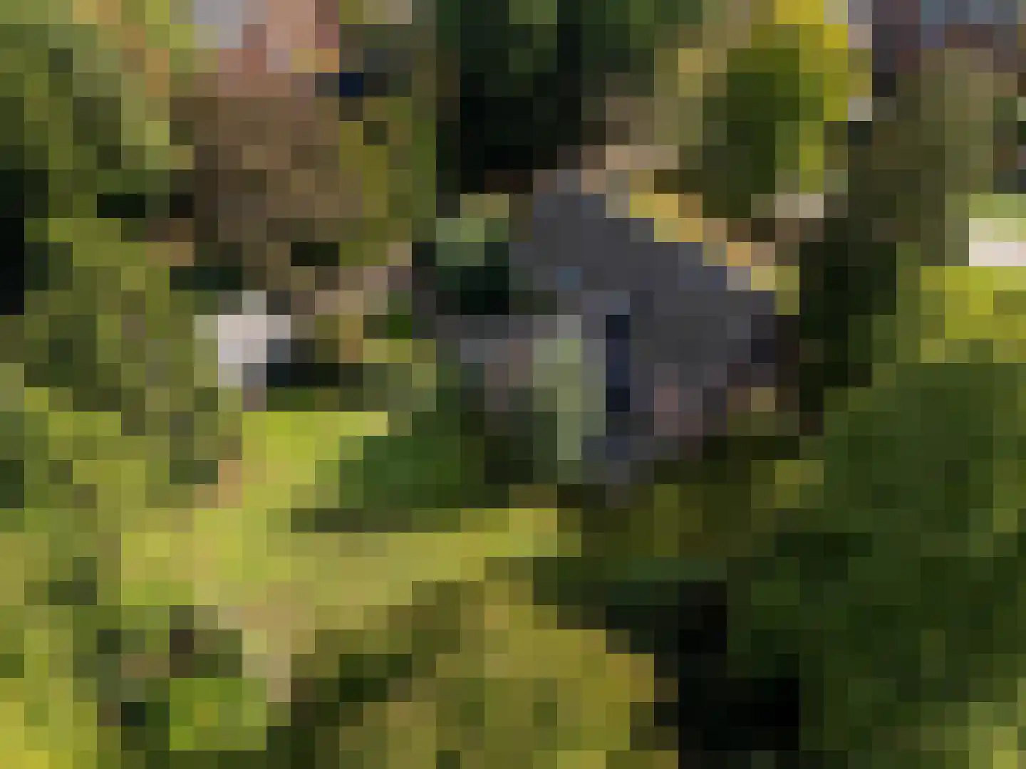 Romeinstraat 1 Deurne thumbnail 5