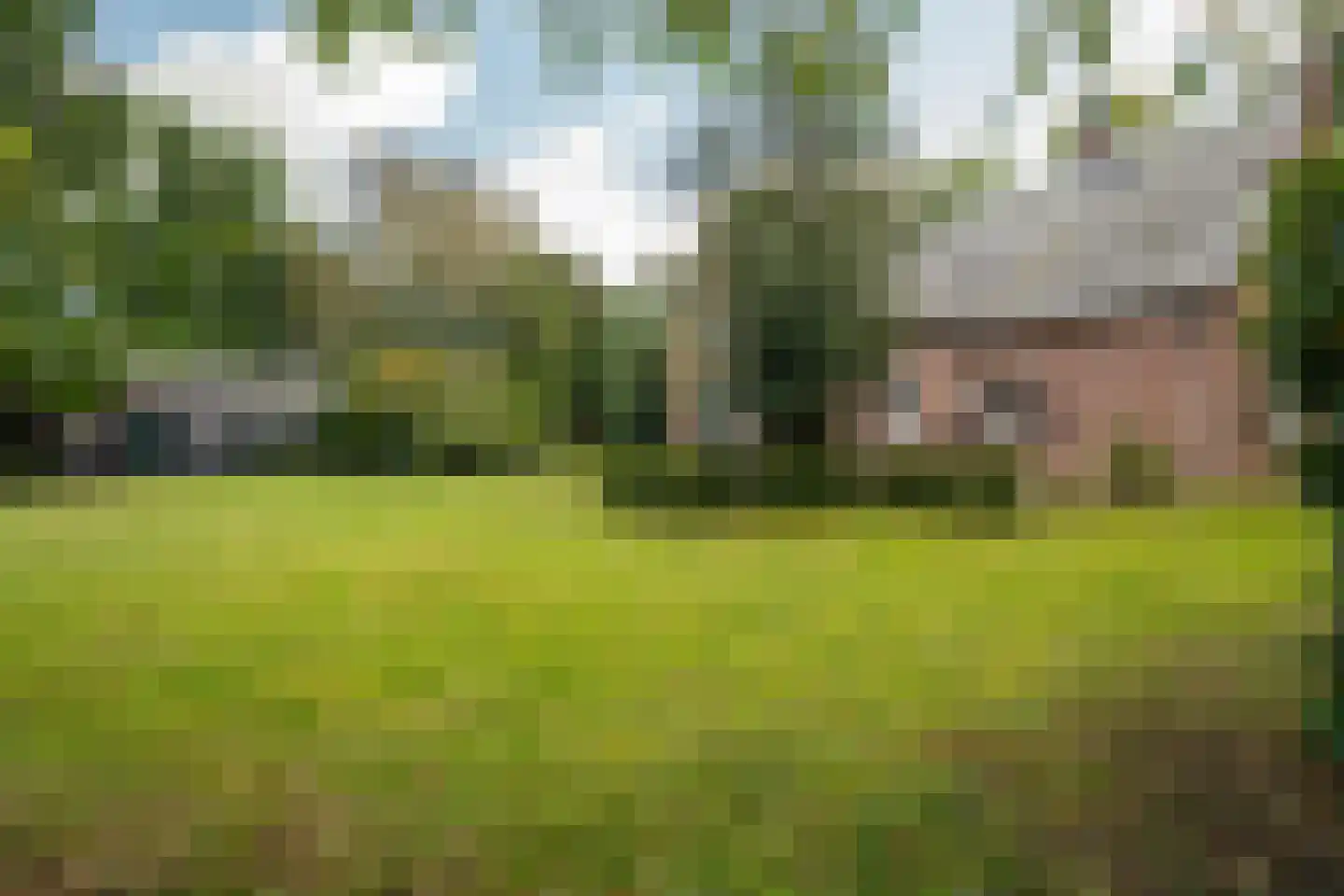 Romeinstraat 1 Deurne thumbnail 50