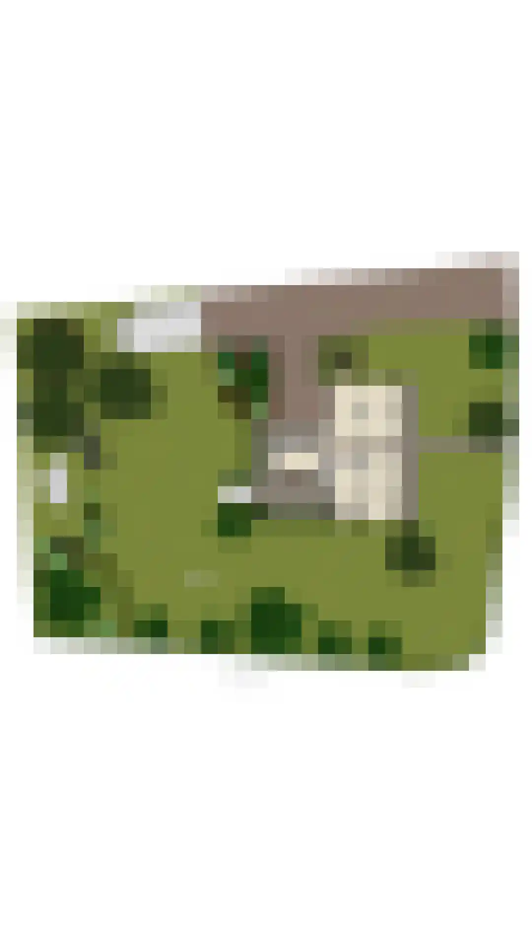 Romeinstraat 1 Deurne thumbnail 51