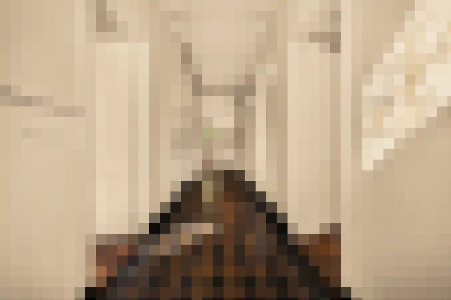 Romeinstraat 1 Deurne thumbnail 6