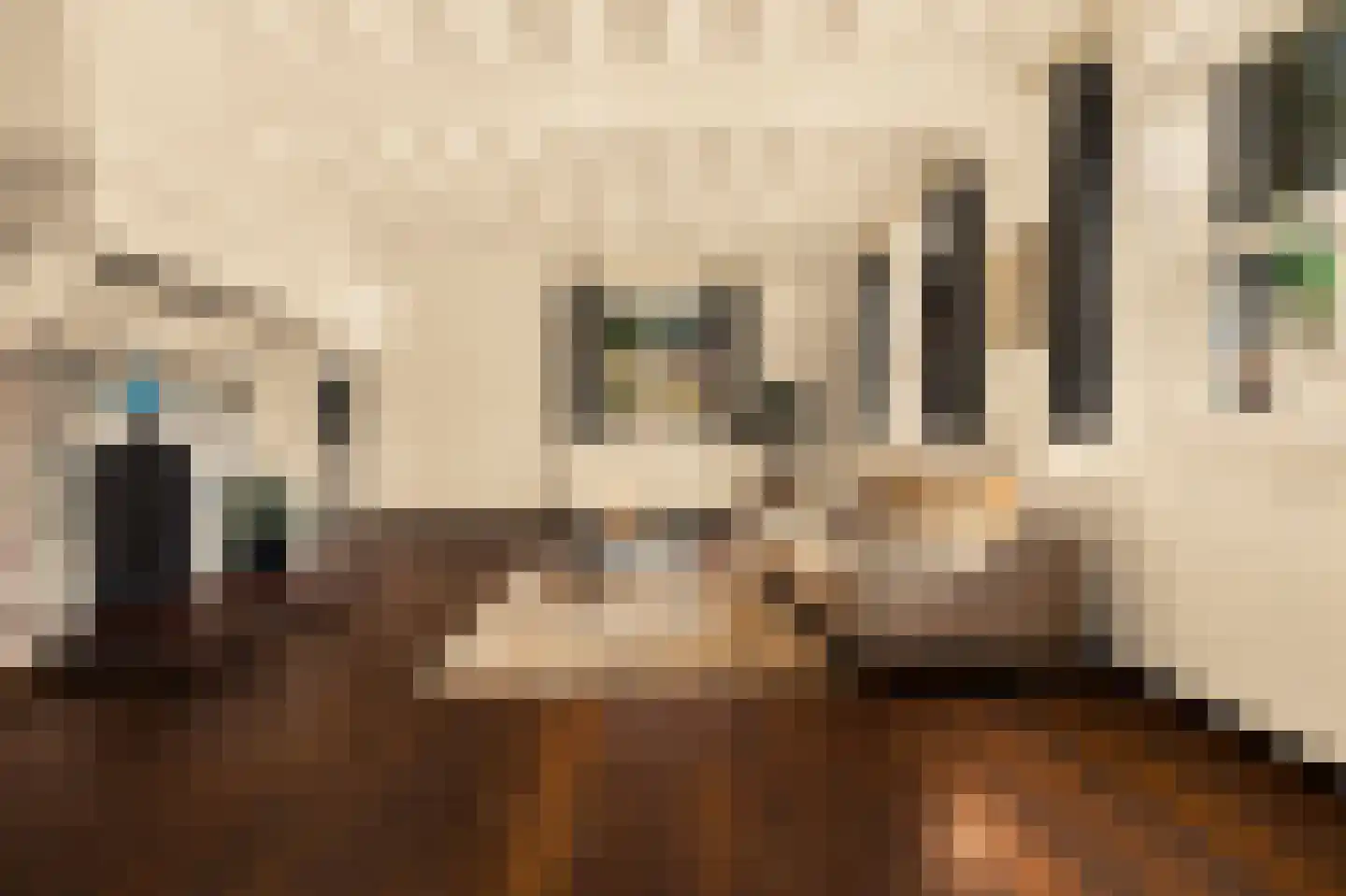 Romeinstraat 1 Deurne thumbnail 7