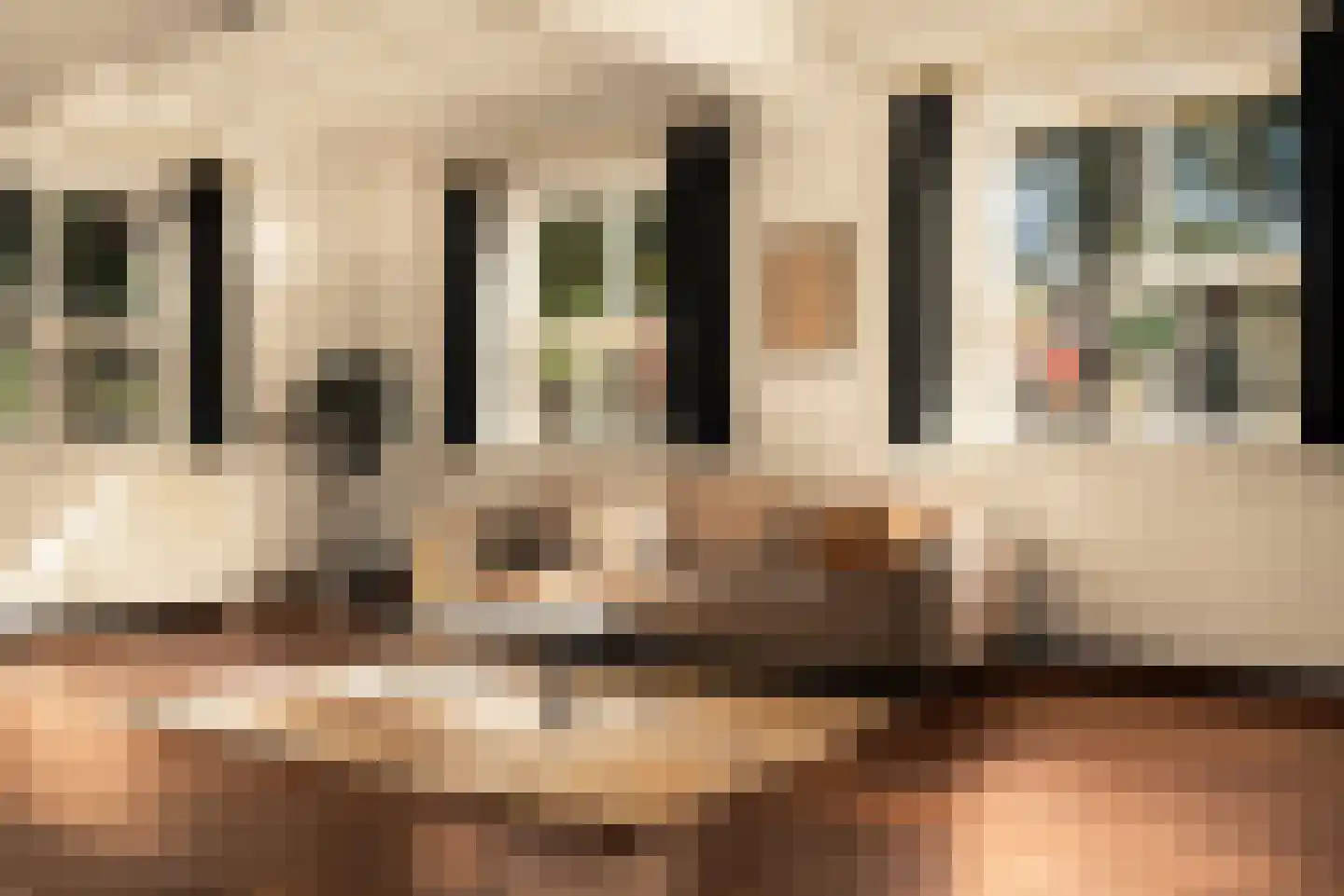 Romeinstraat 1 Deurne thumbnail 8