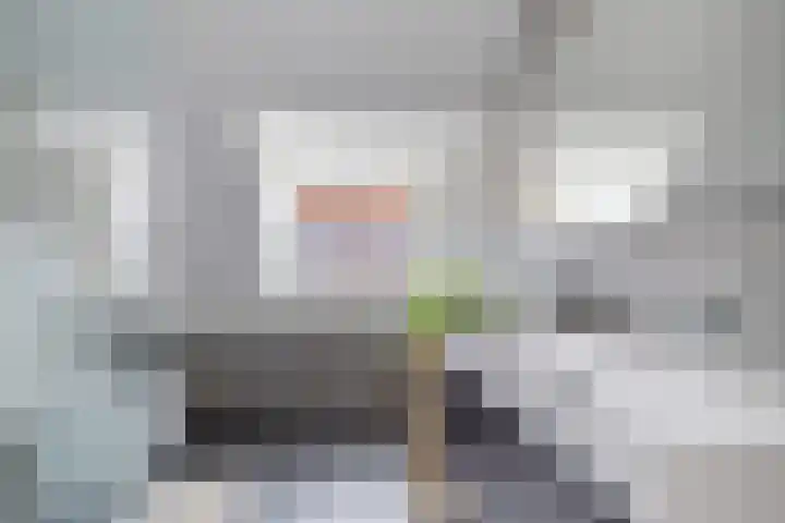 Romeinstraat 13 Leeuwarden thumbnail 24