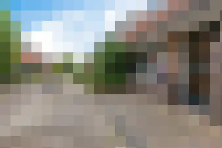 Romeinstraat 13 Leeuwarden thumbnail 6