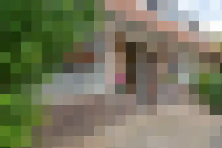 Romeinstraat 13 Leeuwarden thumbnail 9