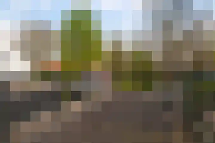 Romeinstraat 9 Leeuwarden thumbnail 16