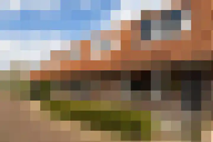 Romeinstraat 9 Leeuwarden thumbnail 19