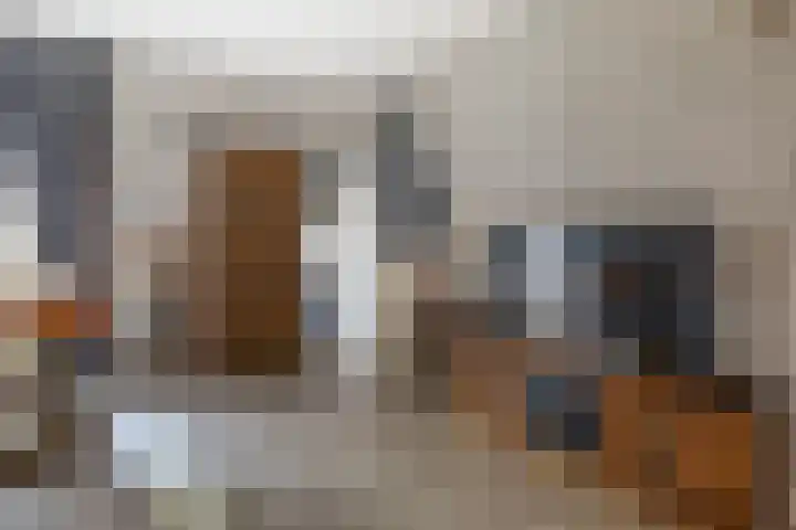 Romeinstraat 9 Leeuwarden thumbnail 5
