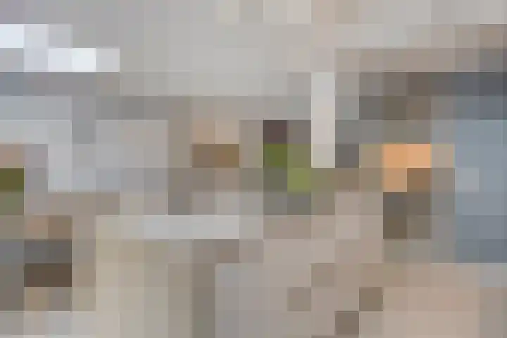 Romelaan 15 's-Hertogenbosch thumbnail 10