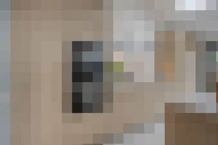 Romelaan 15 's-Hertogenbosch thumbnail 13