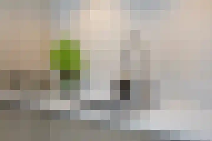 Romelaan 15 's-Hertogenbosch thumbnail 14