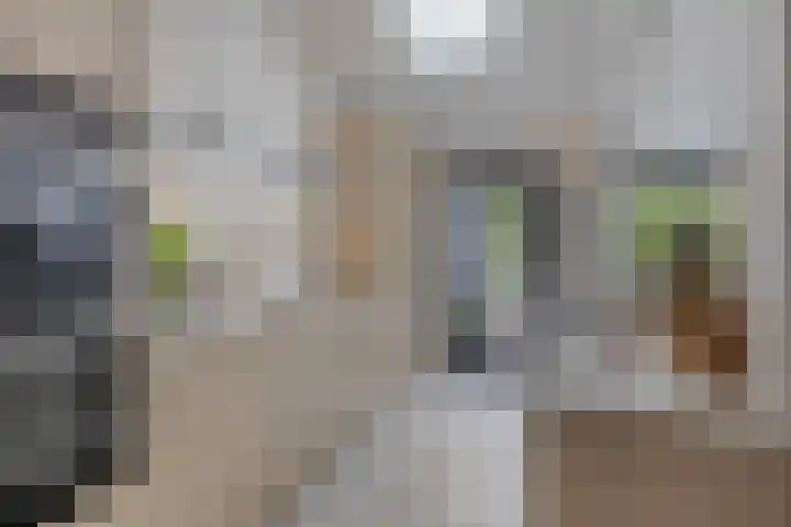 Romelaan 15 's-Hertogenbosch thumbnail 15