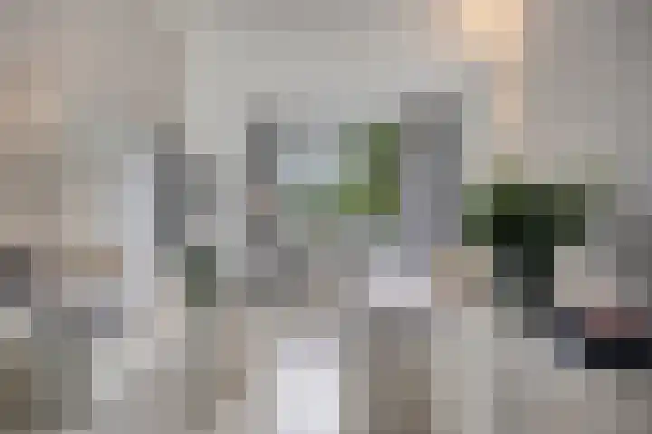 Romelaan 15 's-Hertogenbosch thumbnail 20