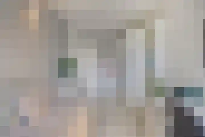 Romelaan 15 's-Hertogenbosch thumbnail 21