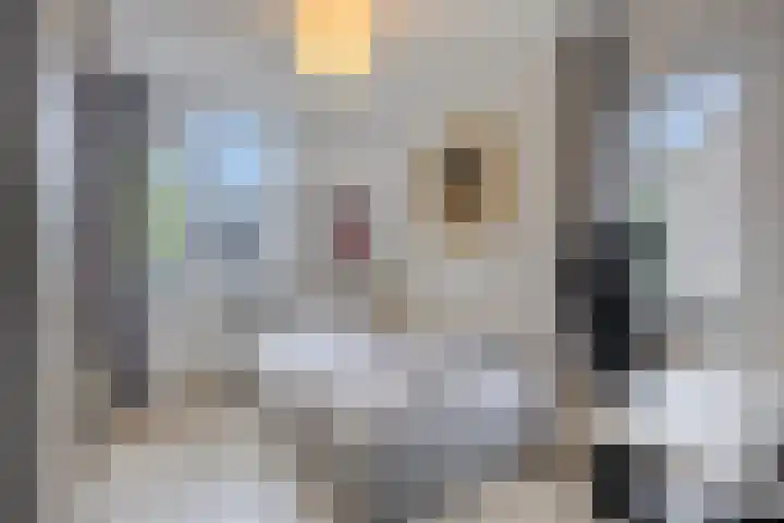 Romelaan 15 's-Hertogenbosch thumbnail 22
