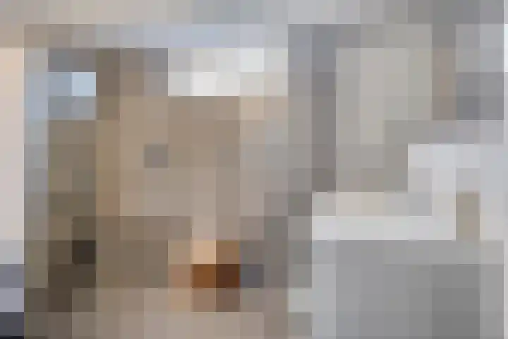 Romelaan 15 's-Hertogenbosch thumbnail 23