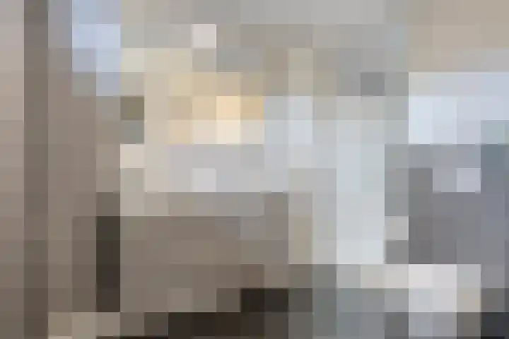 Romelaan 15 's-Hertogenbosch thumbnail 26