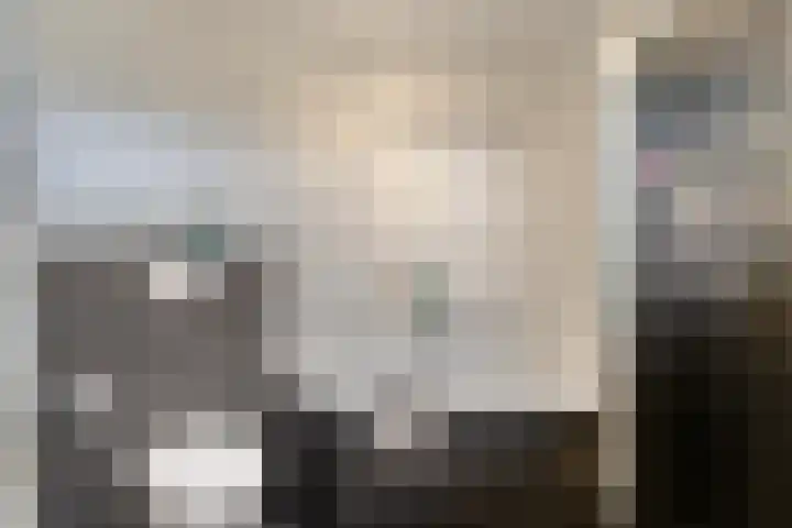Romelaan 15 's-Hertogenbosch thumbnail 28