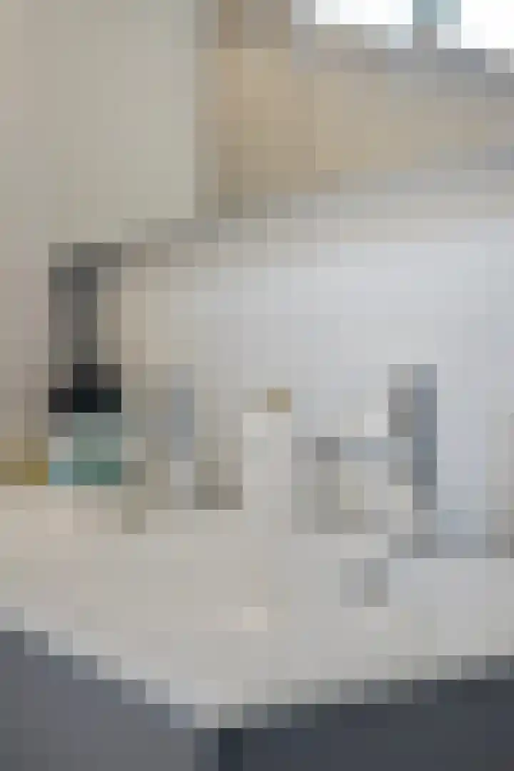 Romelaan 15 's-Hertogenbosch thumbnail 30
