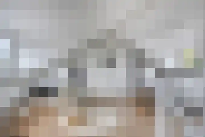 Romelaan 15 's-Hertogenbosch thumbnail 32