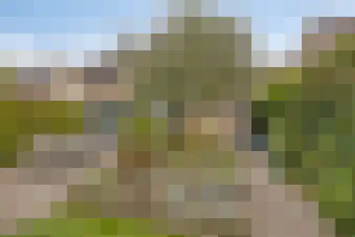 Romelaan 15 's-Hertogenbosch thumbnail 34