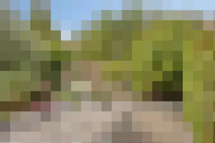 Romelaan 15 's-Hertogenbosch thumbnail 35