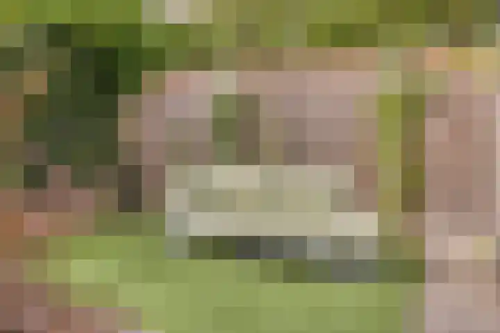 Romelaan 15 's-Hertogenbosch thumbnail 36