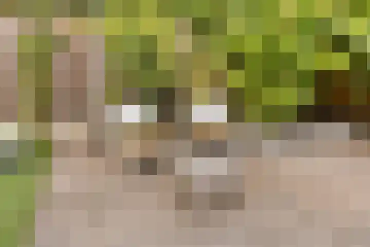 Romelaan 15 's-Hertogenbosch thumbnail 37