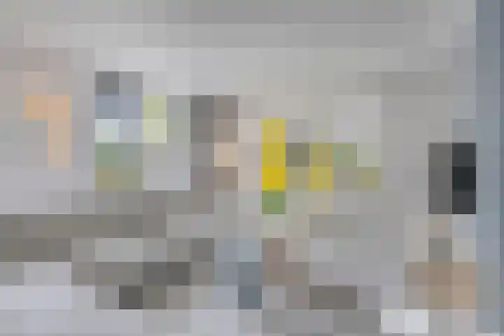 Romelaan 15 's-Hertogenbosch thumbnail 4