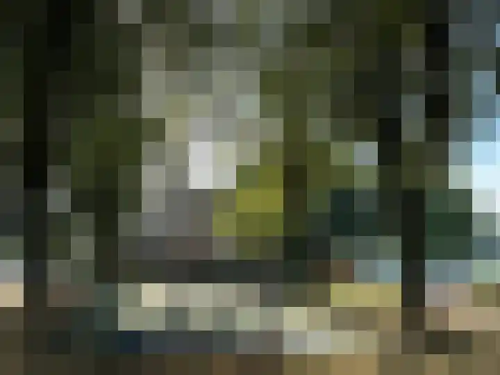 Romelaan 15 's-Hertogenbosch thumbnail 41