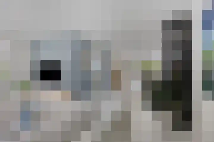 Romelaan 15 's-Hertogenbosch thumbnail 5