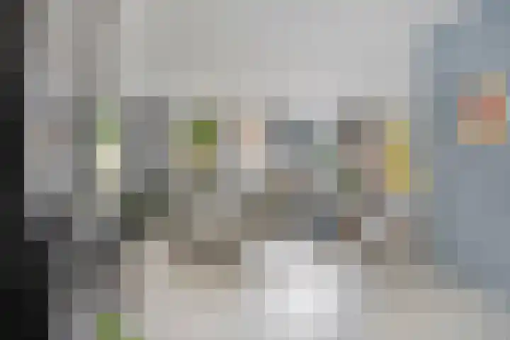 Romelaan 15 's-Hertogenbosch thumbnail 6