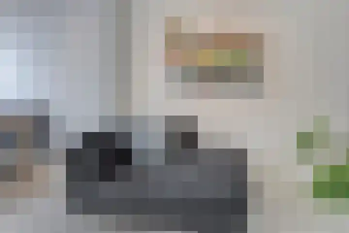 Romelaan 15 's-Hertogenbosch thumbnail 7