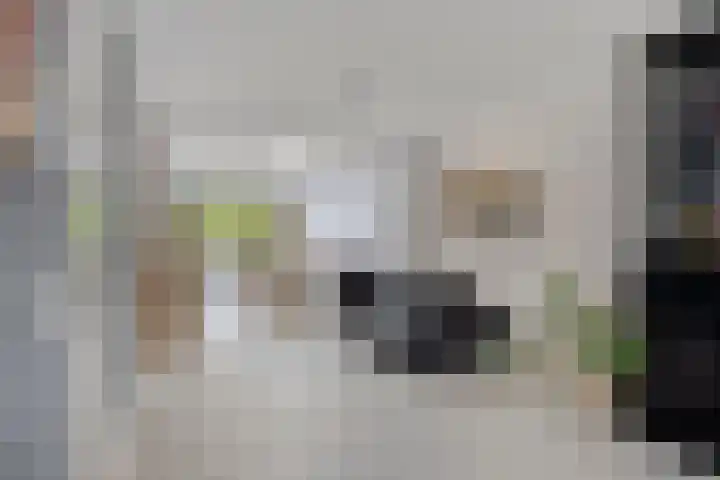 Romelaan 15 's-Hertogenbosch thumbnail 8