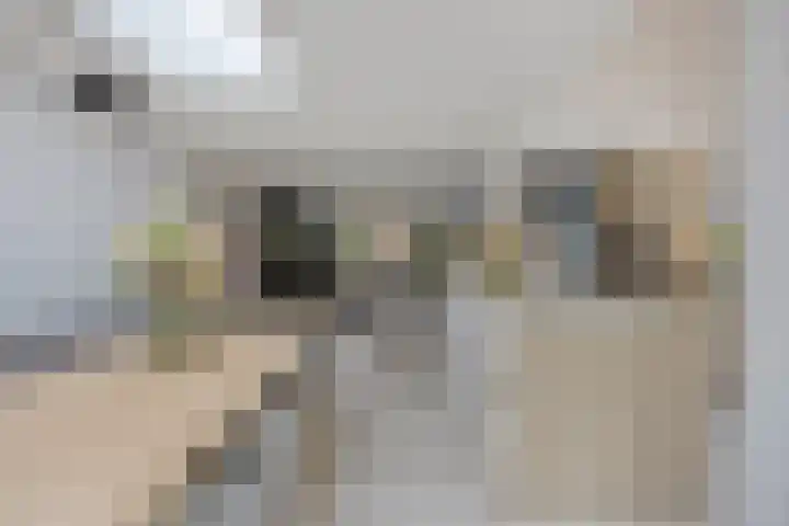 Romelaan 15 's-Hertogenbosch thumbnail 9
