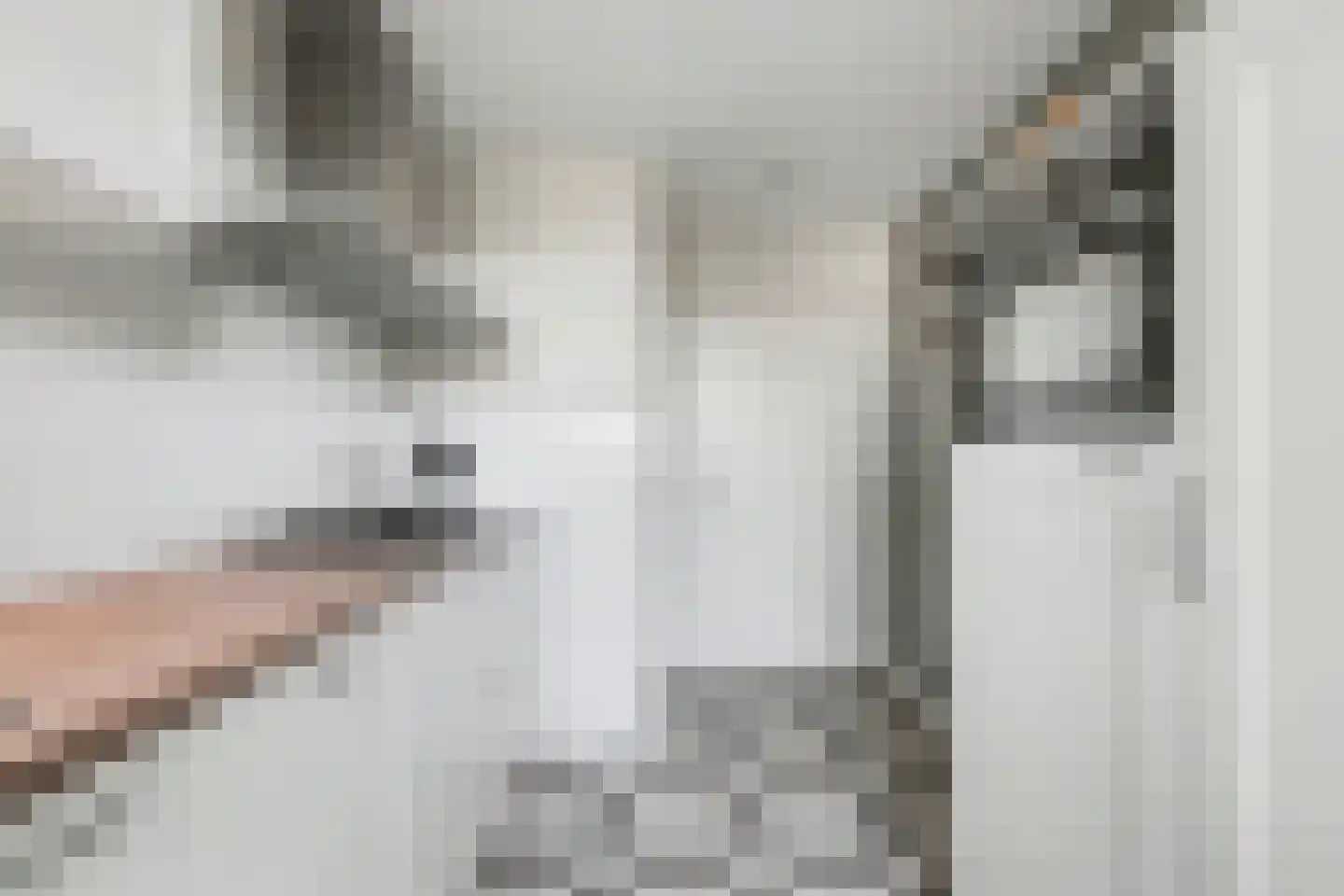 Romelaan 65 Oudenbosch thumbnail 12