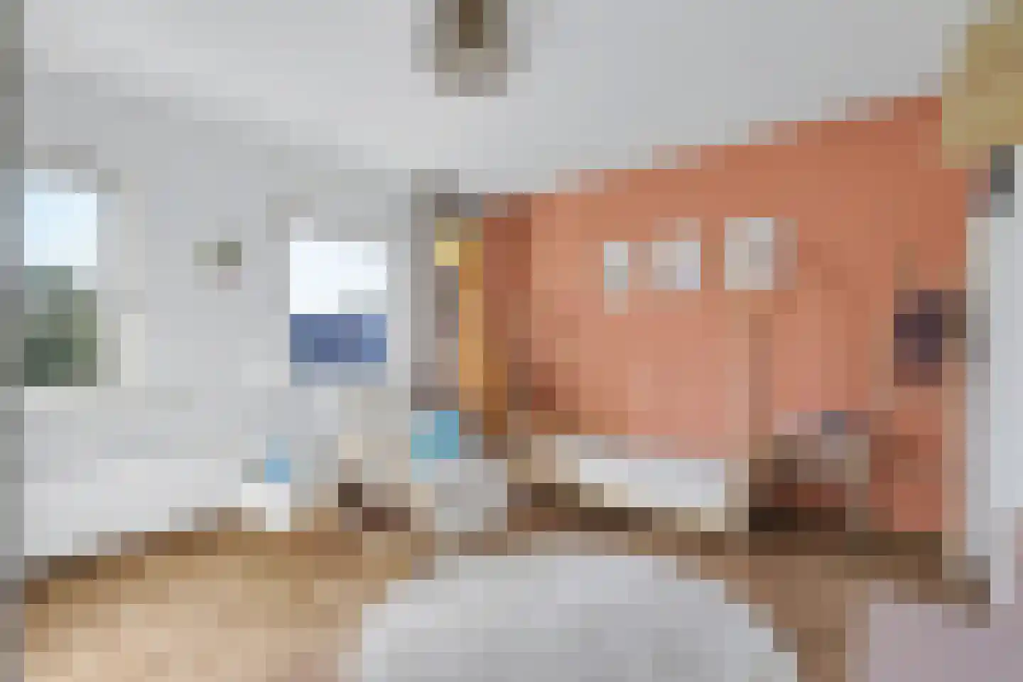 Romelaan 65 Oudenbosch thumbnail 20