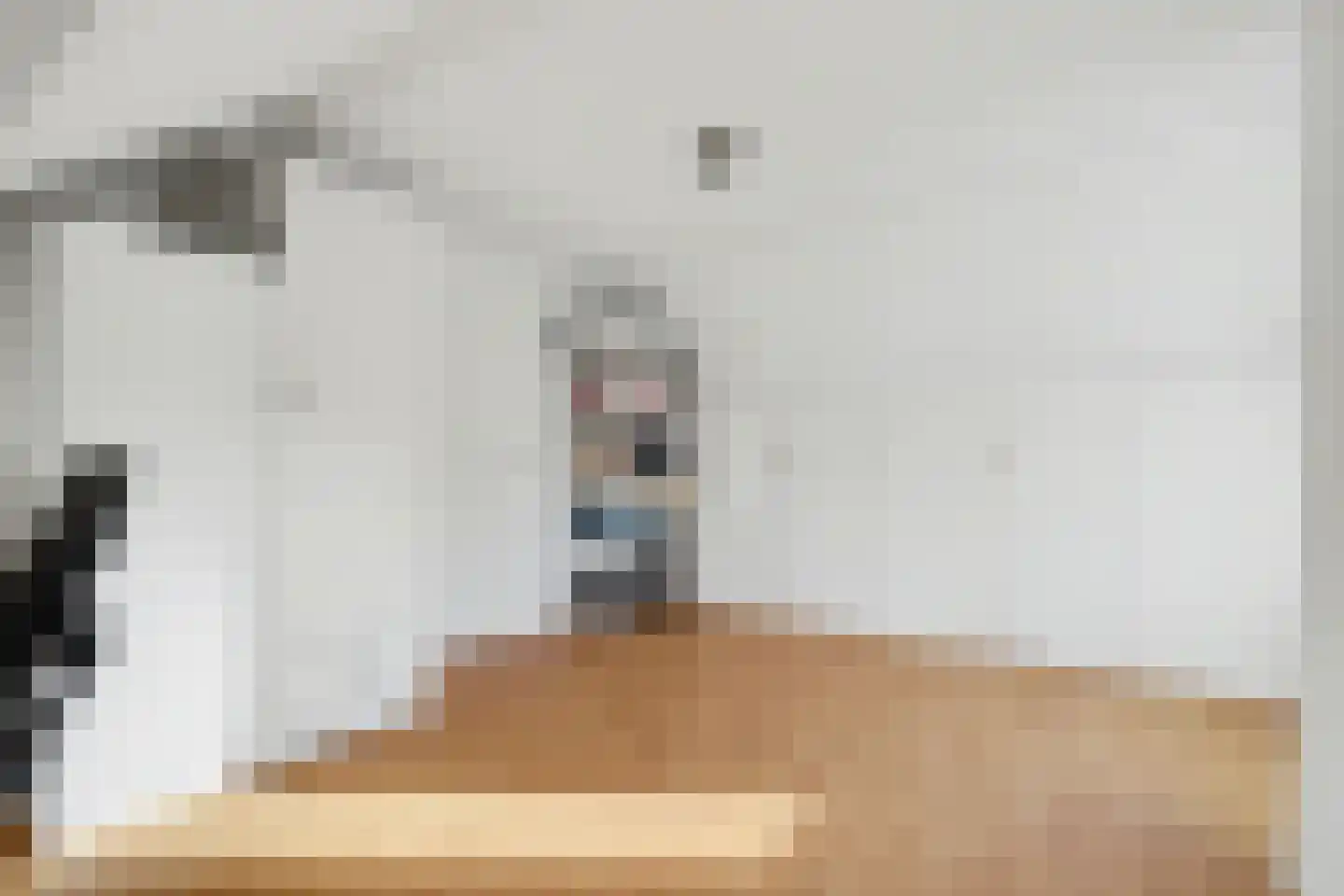 Romelaan 65 Oudenbosch thumbnail 33