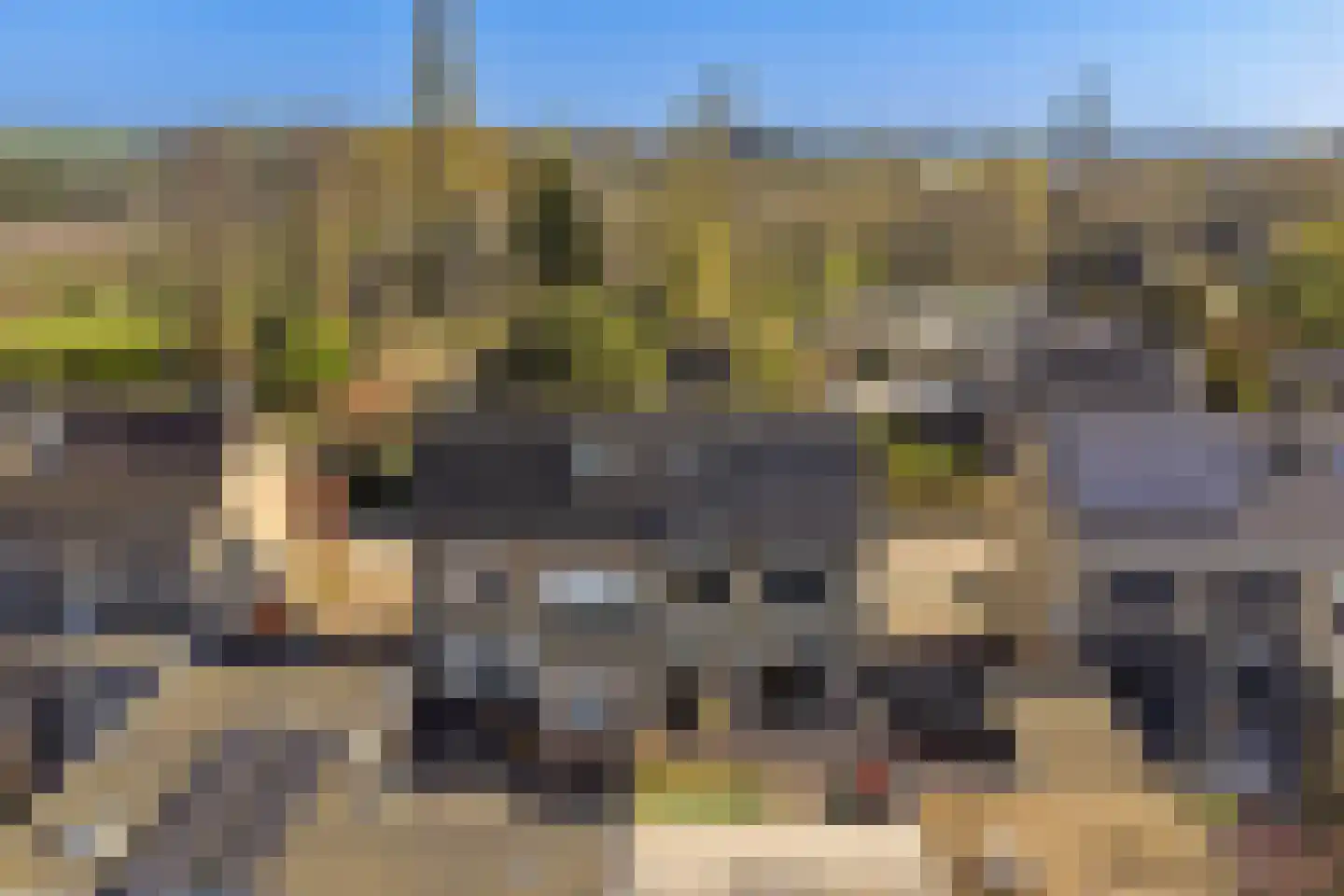 Romelaan 65 Oudenbosch thumbnail 47