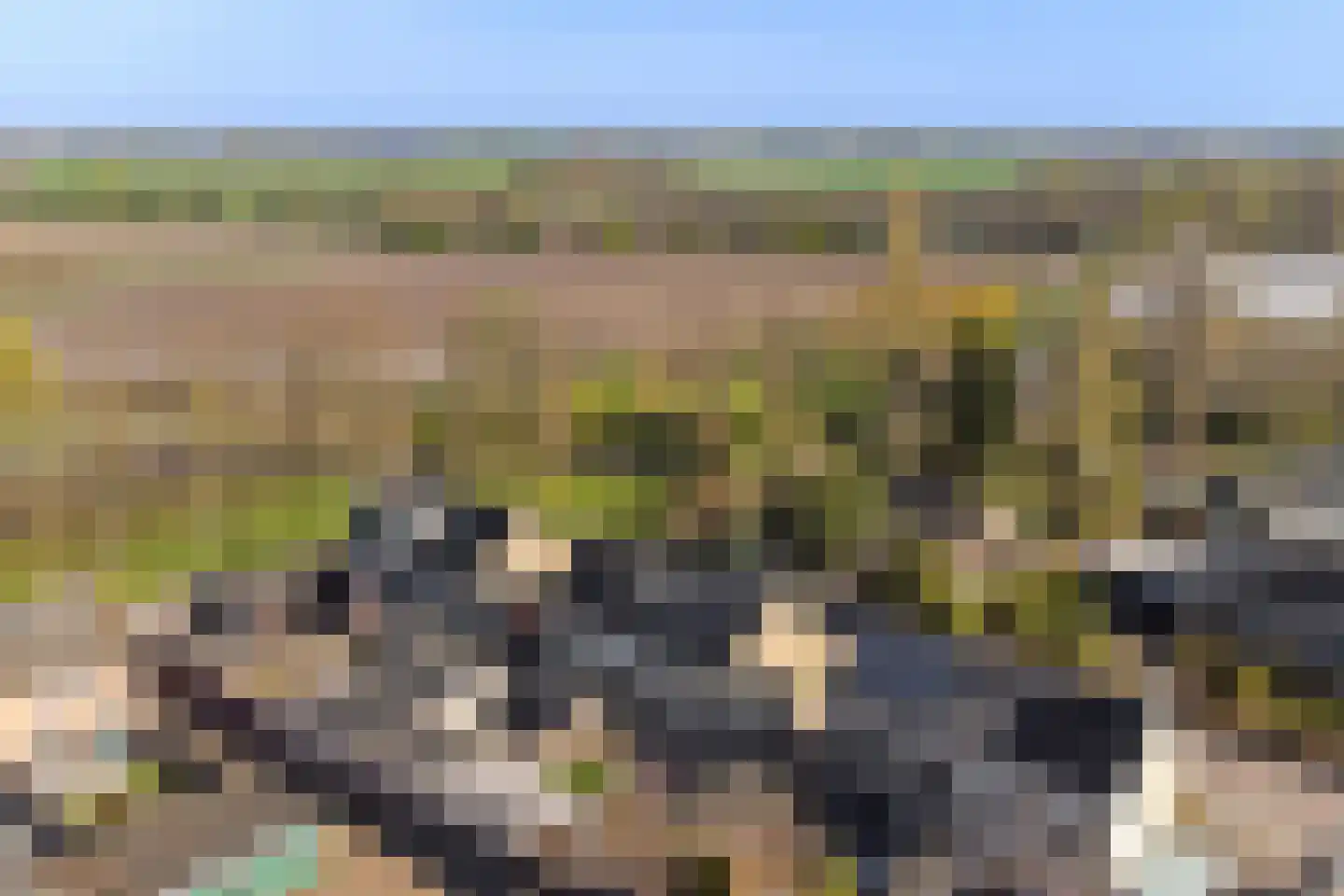 Romelaan 65 Oudenbosch thumbnail 49