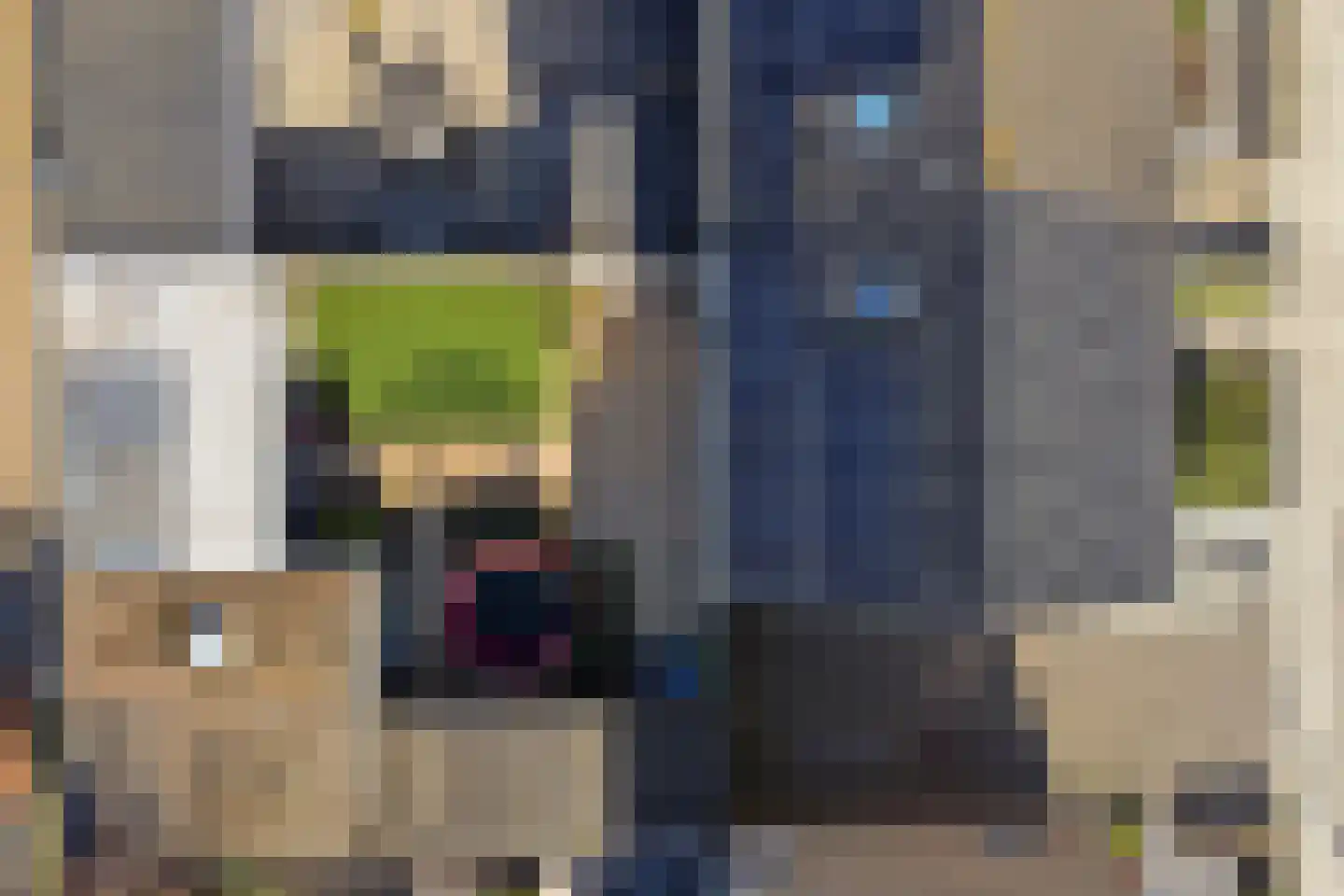 Romelaan 65 Oudenbosch thumbnail 53