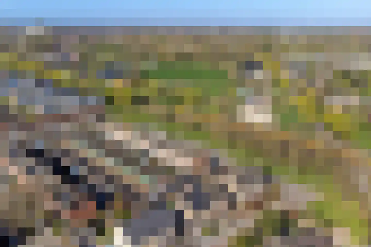 Romelaan 65 Oudenbosch thumbnail 56