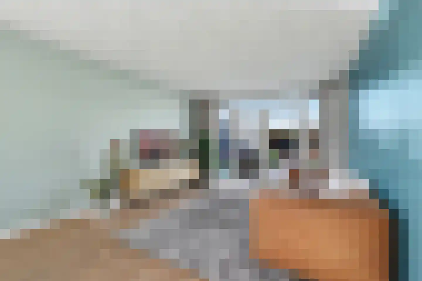 Romelaan 65 Oudenbosch thumbnail 6