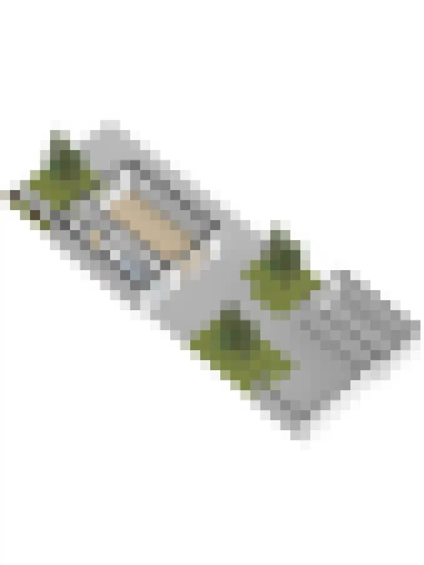 Romelaan 65 Oudenbosch thumbnail 69