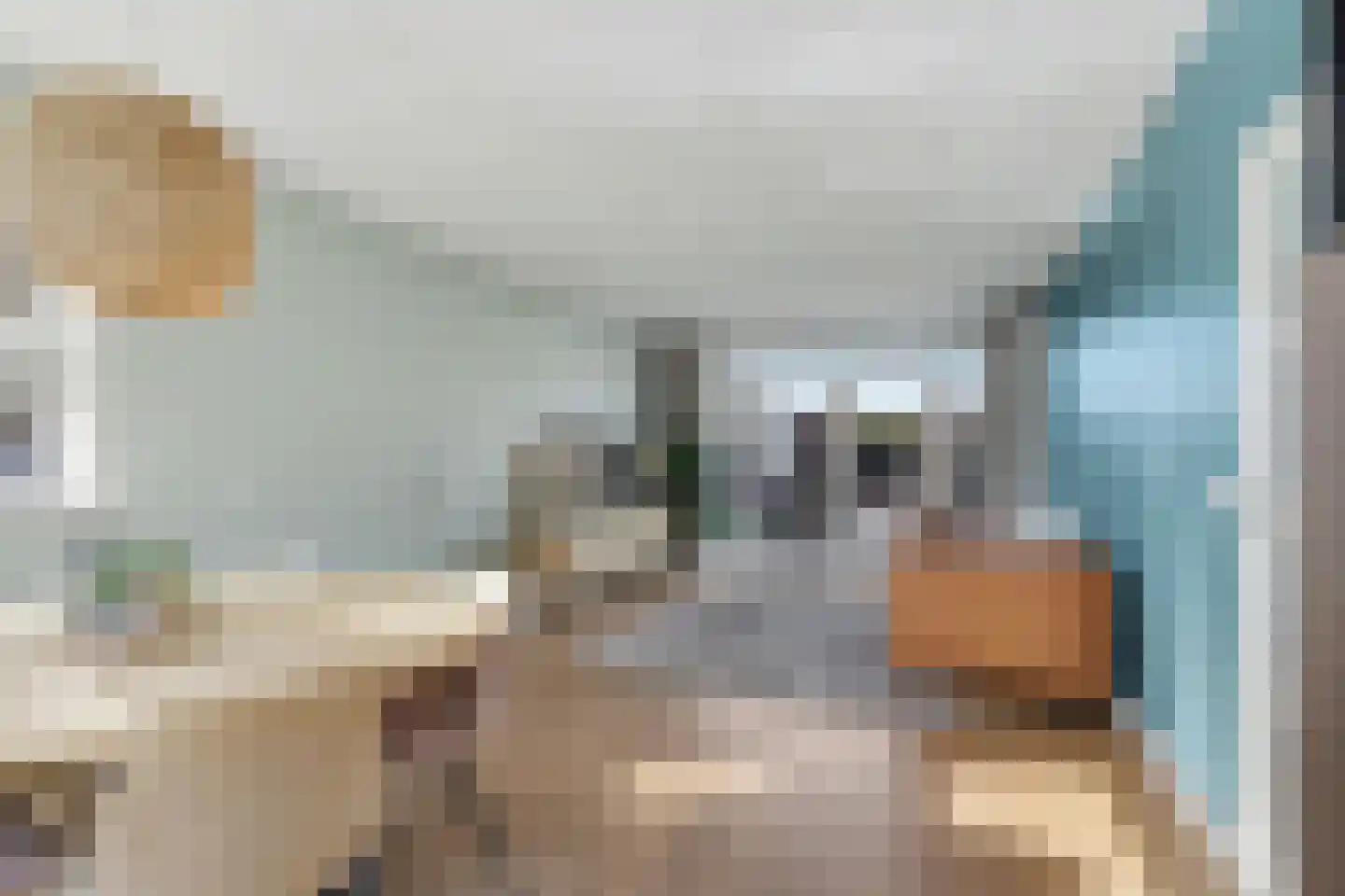 Romelaan 65 Oudenbosch thumbnail 7
