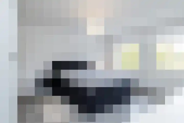 Romenkamp 36 Oirsbeek thumbnail 25