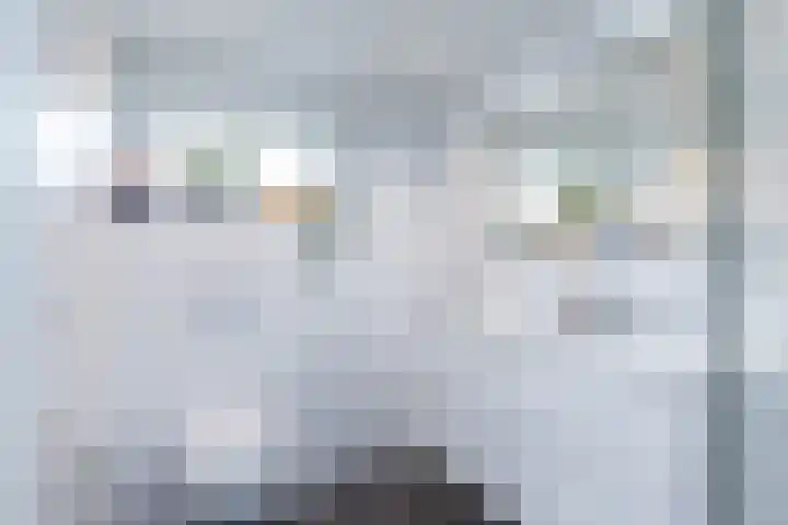 Romenkamp 36 Oirsbeek thumbnail 31